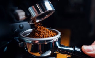 Metsäkatoasetuksen toimeenpano lykkääntyy jälleen