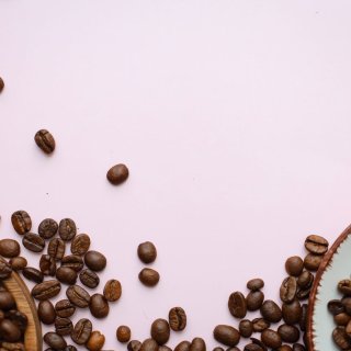 Metsäkatoasetus tuo uusia velvollisuuksia yrityksille