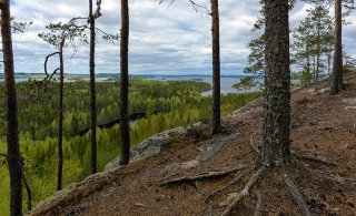 Kaivoslain uudistamisessa aikalisä