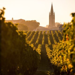 Viinipalsta: Bordeaux vihertyy