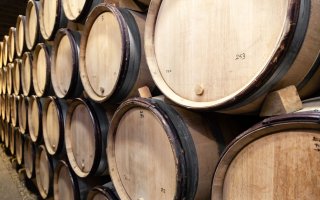 Viinipalsta: Chardonnay tekee uutta tulemistaan
