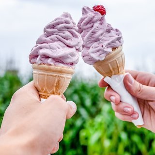 Hämäläinen Suttisen tila on kesämakujen keidas