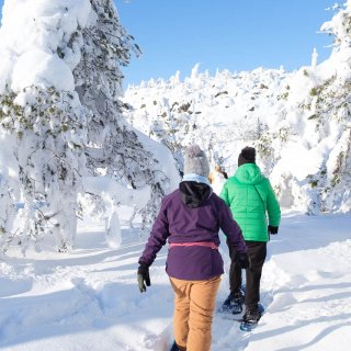Matkailussa on saavutettu pandemiaa edeltänyt taso