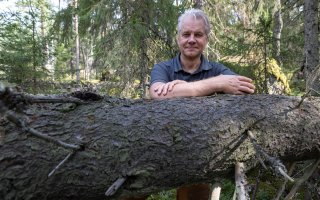 Puolessa tunnissa erämaahan