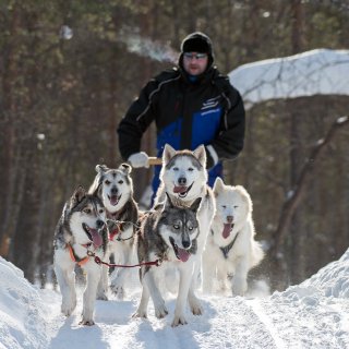 Ahdinko syvenee – Yritykset kertovat rajuista liikevaihdon pudotuksista